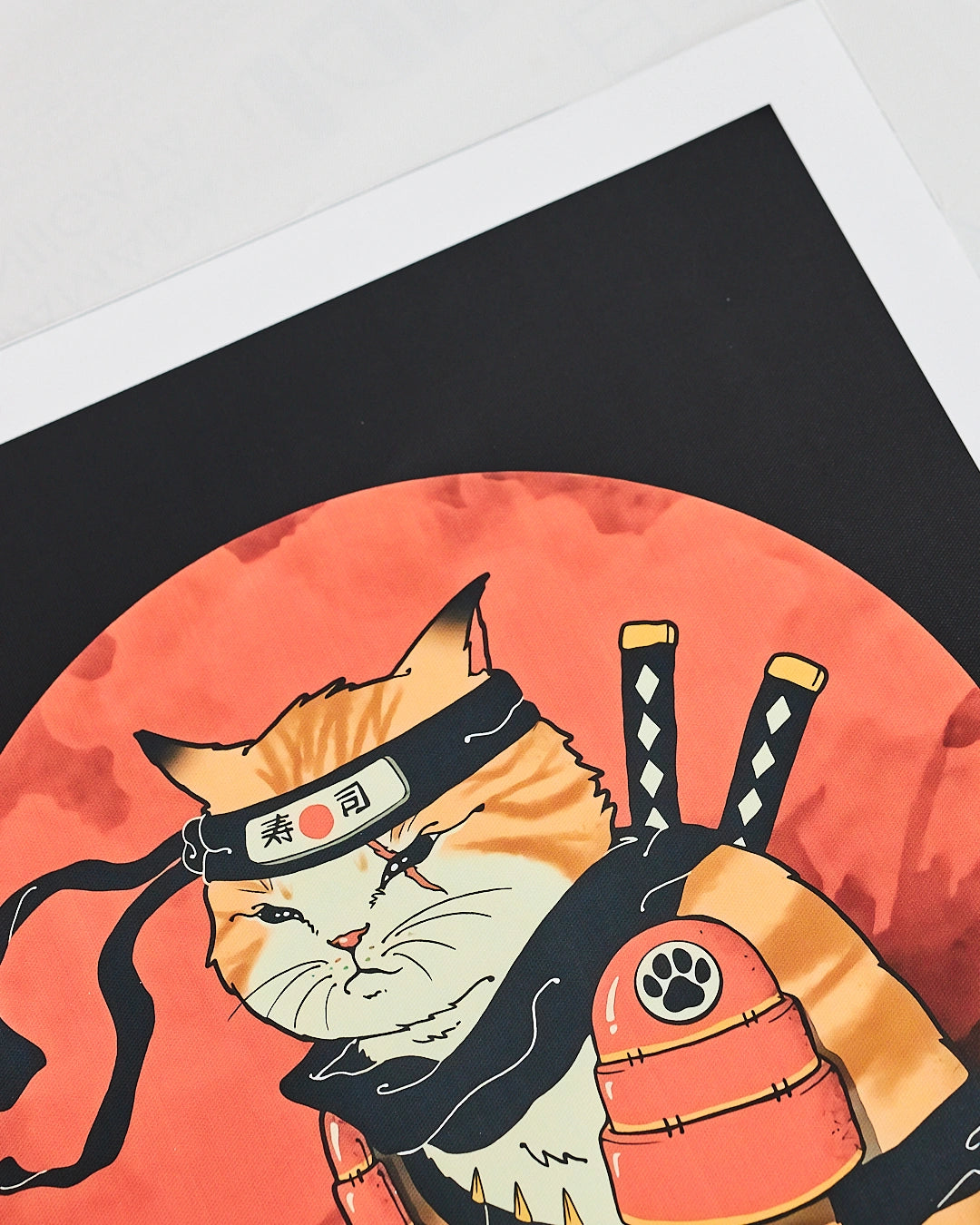 affiche ninja