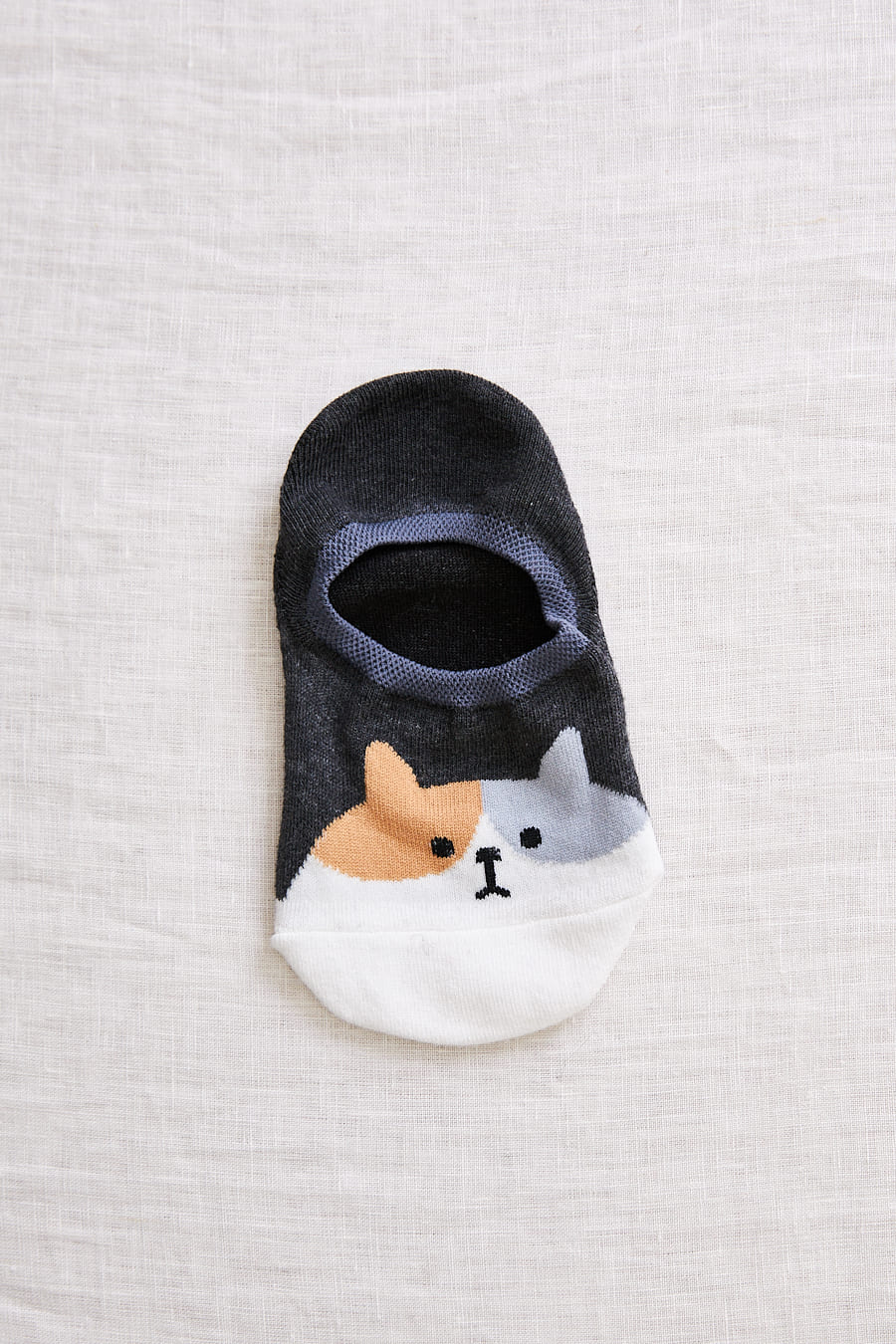 cadeau coréen chat