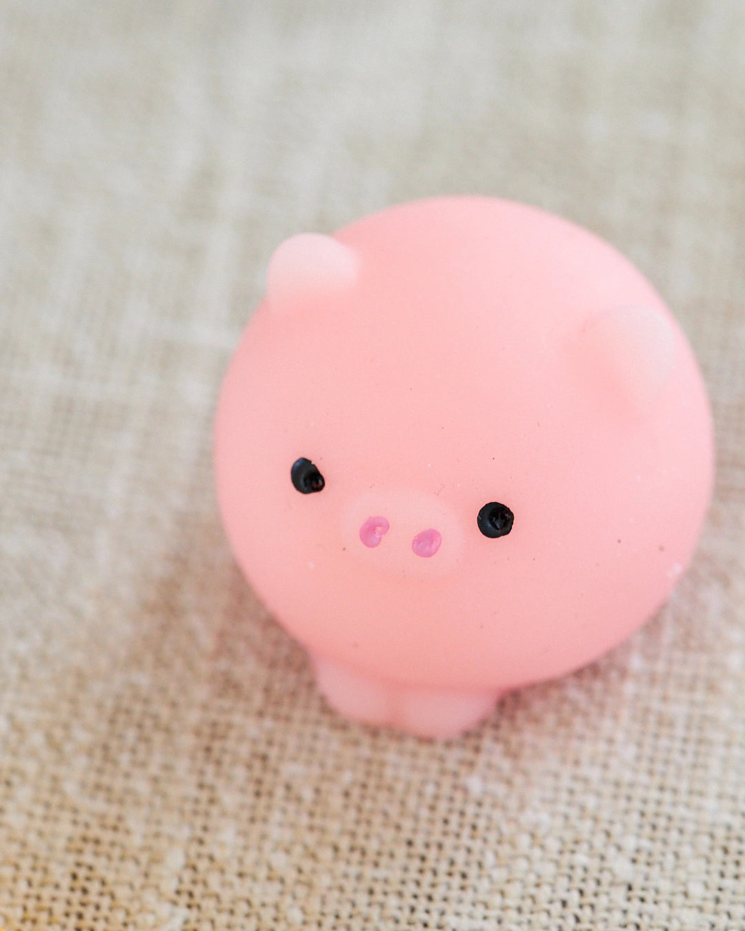 squishy cochon