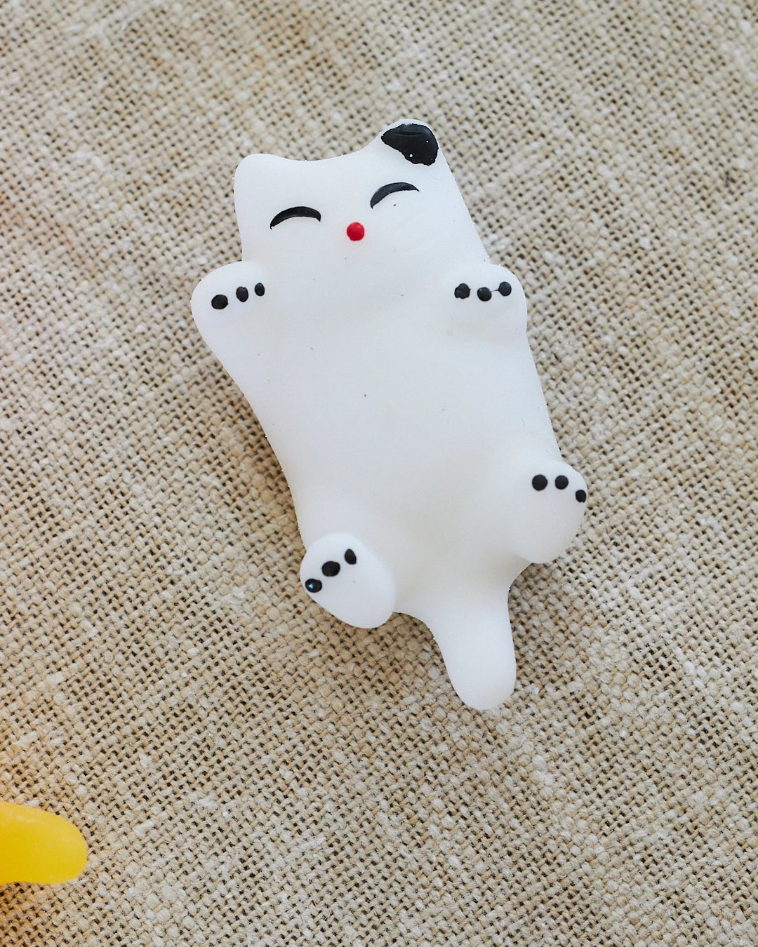 CHOUPIE CHAT BLANC SUR LE DOS