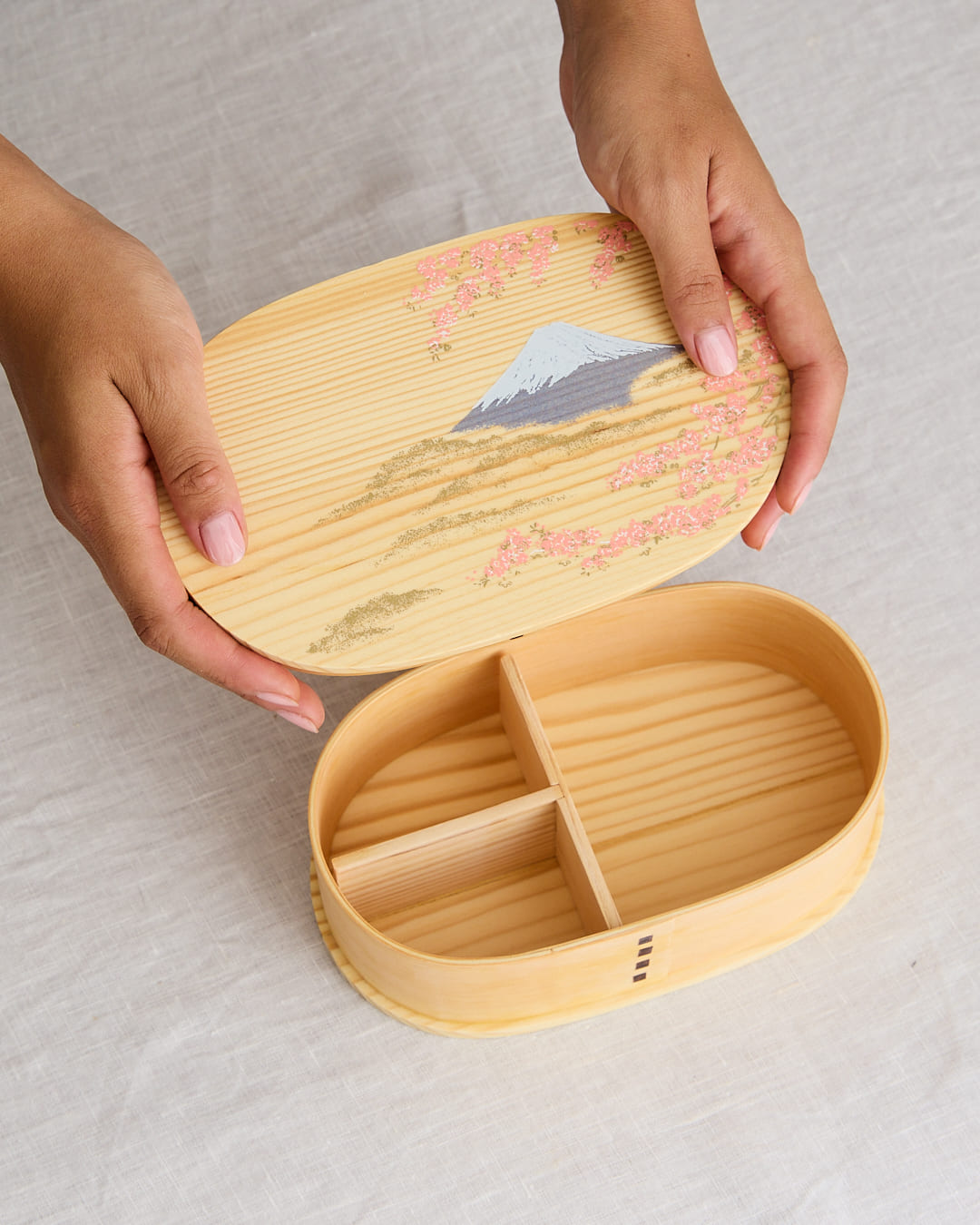 bento fuji sakura
