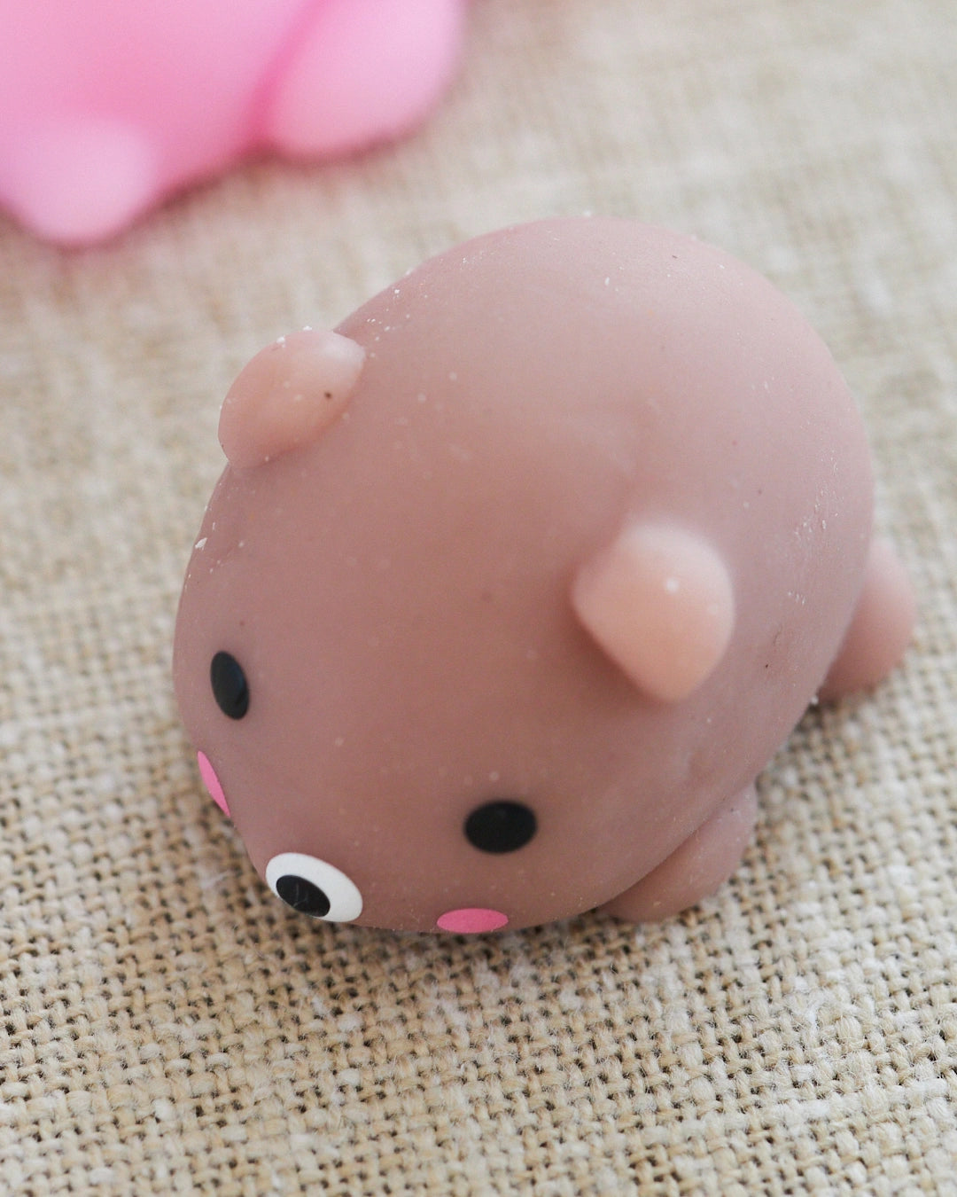 choupie ours