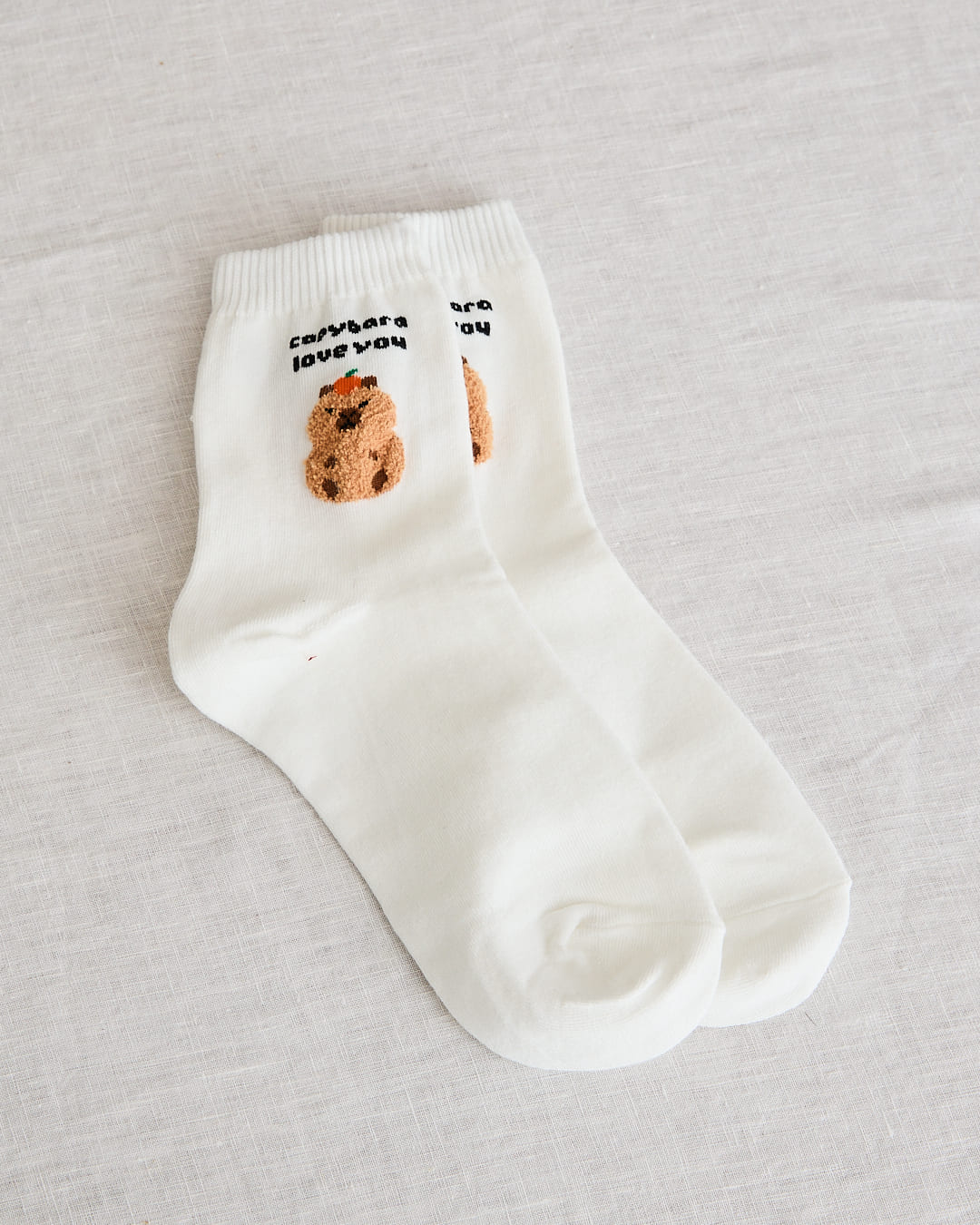 seoul station capybara loves you